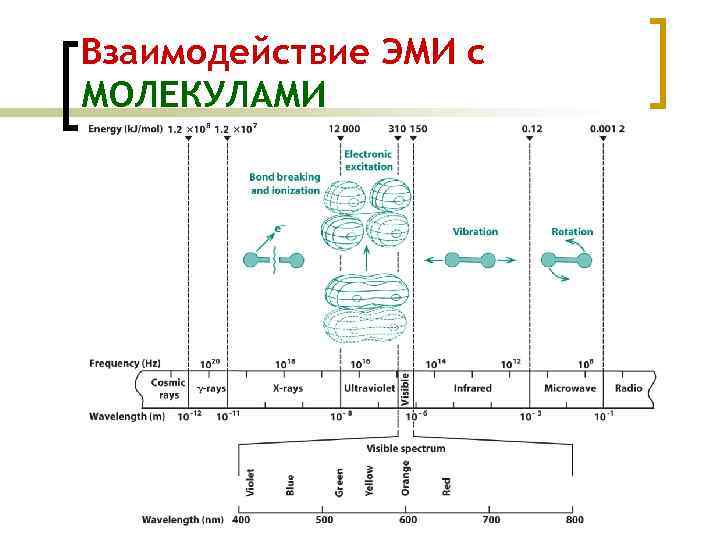 Взаимодействие ЭМИ с МОЛЕКУЛАМИ 