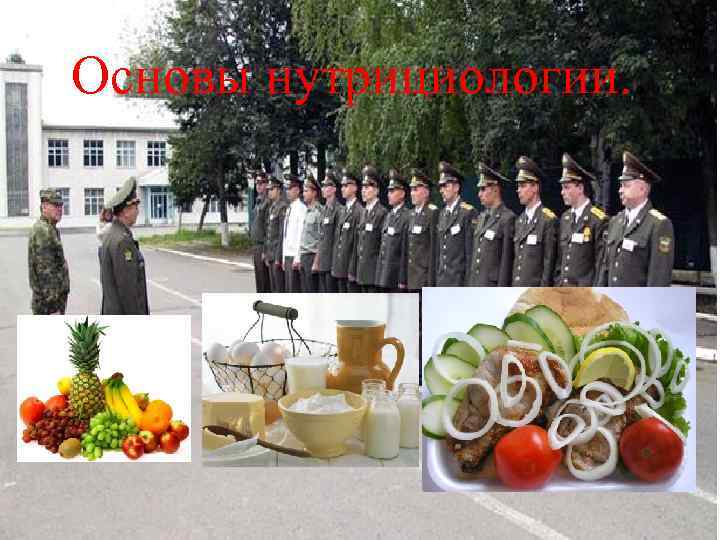 Основы нутрициологии. . 