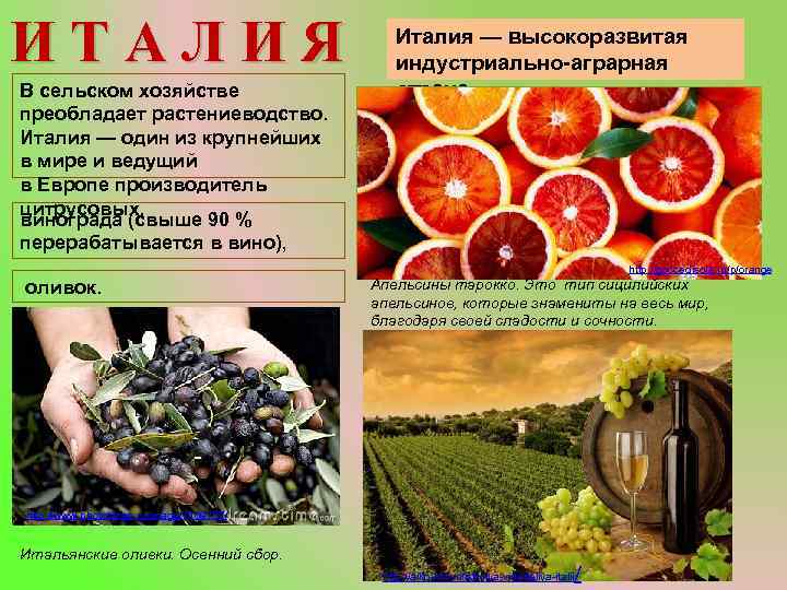 ИТАЛИЯ В сельском хозяйстве преобладает растениеводство. Италия — один из крупнейших в мире и