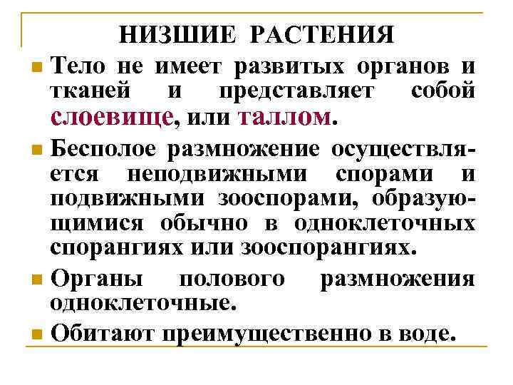 НИЗШИЕ РАСТЕНИЯ n Тело не имеет развитых органов и тканей и представляет собой слоевище,