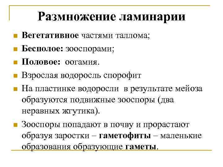 Размножение ламинарии n n n Вегетативное частями таллома; Бесполое: зооспорами; Половое: оогамия. Взрослая водоросль