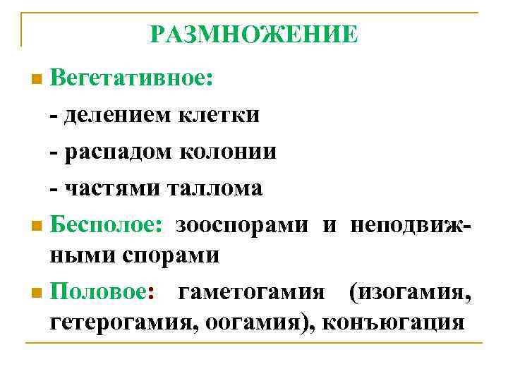 РАЗМНОЖЕНИЕ Вегетативное: - делением клетки - распадом колонии - частями таллома n Бесполое: зооспорами