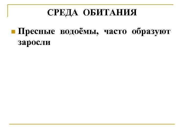 СРЕДА ОБИТАНИЯ n Пресные водоёмы, часто образуют заросли 