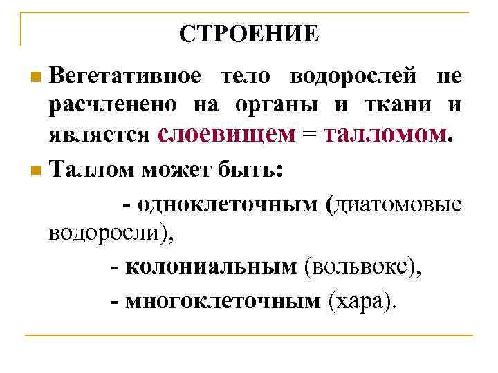 СТРОЕНИЕ Вегетативное тело водорослей не расчленено на органы и ткани и является слоевищем =