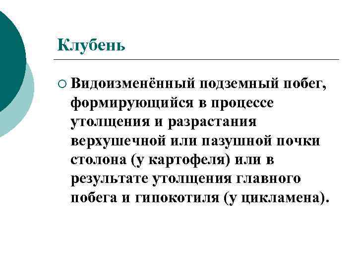 Клубень ¡ Видоизменённый подземный побег, формирующийся в процессе утолщения и разрастания верхушечной или пазушной
