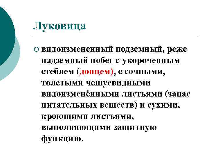 Луковица ¡ видоизмененный подземный, реже надземный побег с укороченным стеблем (донцем), с сочными, толстыми