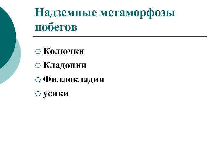 Надземные метаморфозы побегов ¡ Колючки ¡ Кладонии ¡ Филлокладии ¡ усики 