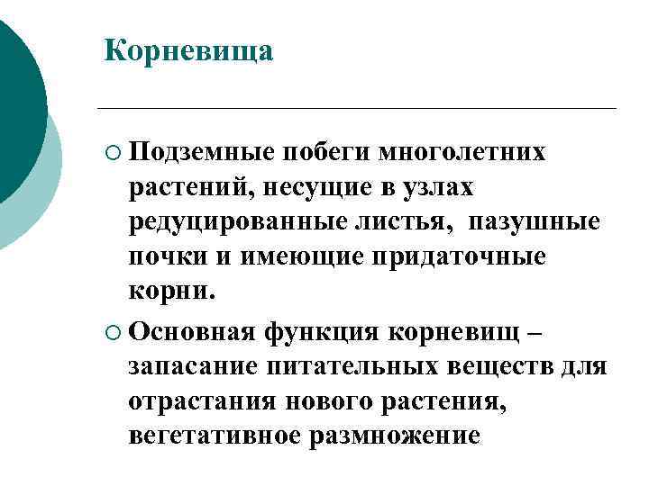 Корневища ¡ Подземные побеги многолетних растений, несущие в узлах редуцированные листья, пазушные почки и