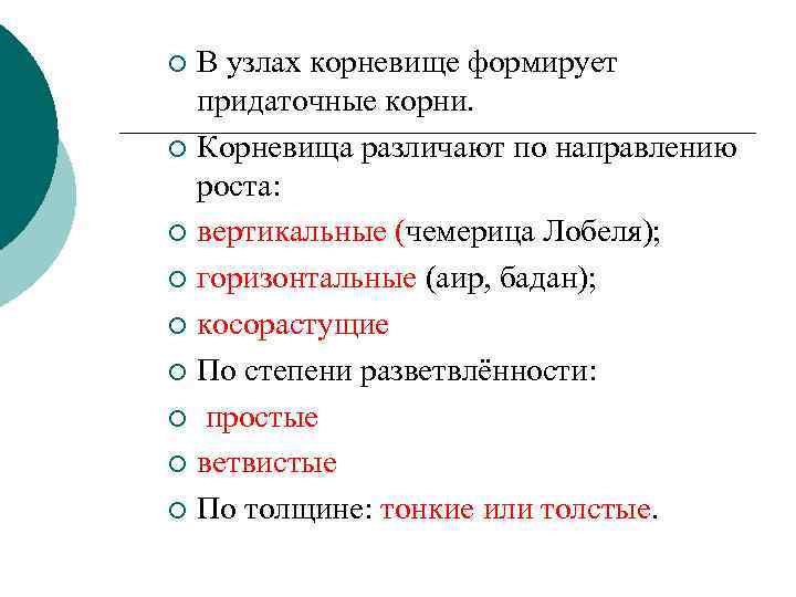 В узлах корневище формирует придаточные корни. ¡ Корневища различают по направлению роста: ¡ вертикальные
