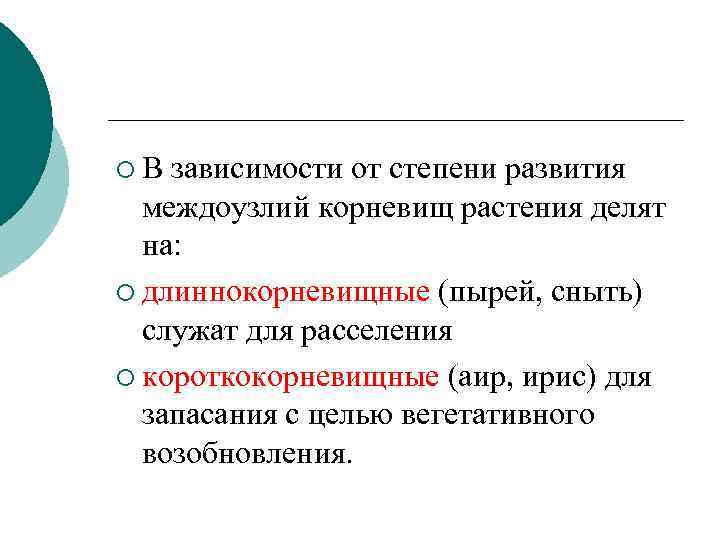 ¡В зависимости от степени развития междоузлий корневищ растения делят на: ¡ длиннокорневищные (пырей, сныть)