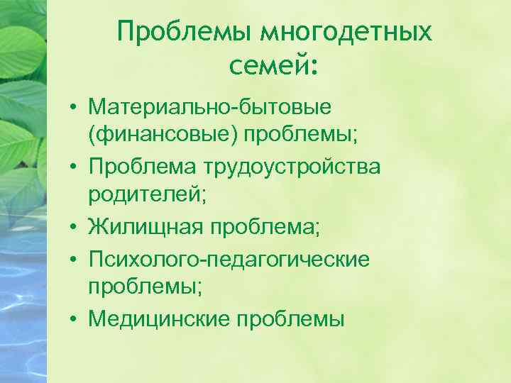 Проблемы многодетных семей: • Материально бытовые (финансовые) проблемы; • Проблема трудоустройства родителей; • Жилищная