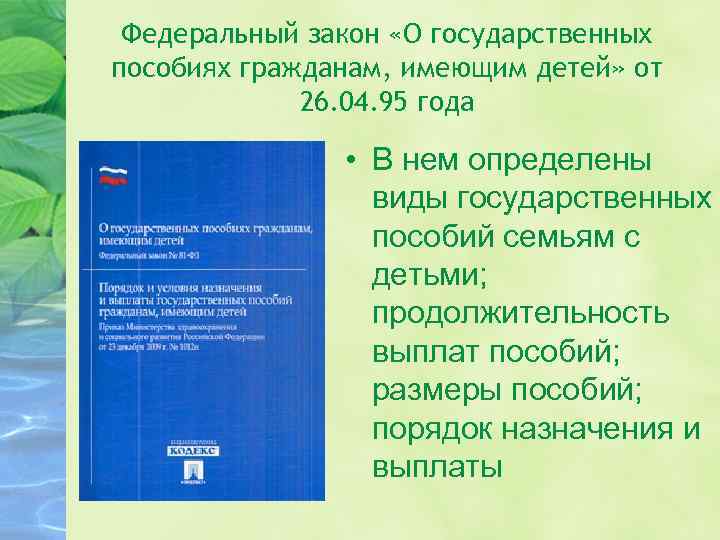 Федеральный закон «О государственных пособиях гражданам, имеющим детей» от 26. 04. 95 года •