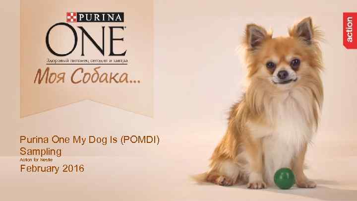 Purina One My Dog Is (POMDI) Sampling Action for Nestle February 2016 