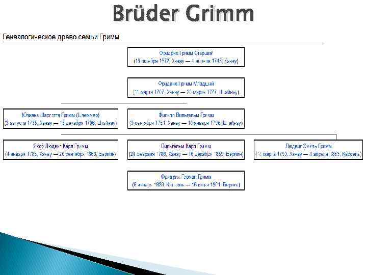 Brüder Grimm 