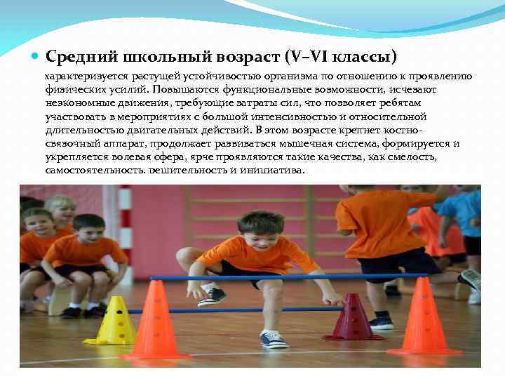  Средний школьный возраст (V–VI классы) характеризуется растущей устойчивостью организма по отношению к проявлению