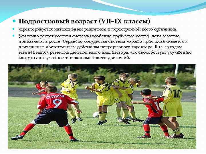  Подростковый возраст (VII–IХ классы) характеризуется интенсивным развитием и перестройкой всего организма. Усиленно растет