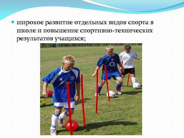  широкое развитие отдельных видов спорта в школе и повышение спортивно-технических результатов учащихся; 