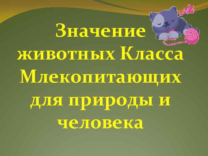 Значение животных Класса Млекопитающих для природы и человека 
