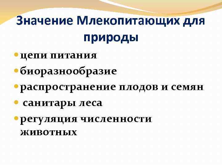 Значение Млекопитающих для природы цепи питания биоразнообразие распространение плодов и семян санитары леса регуляция
