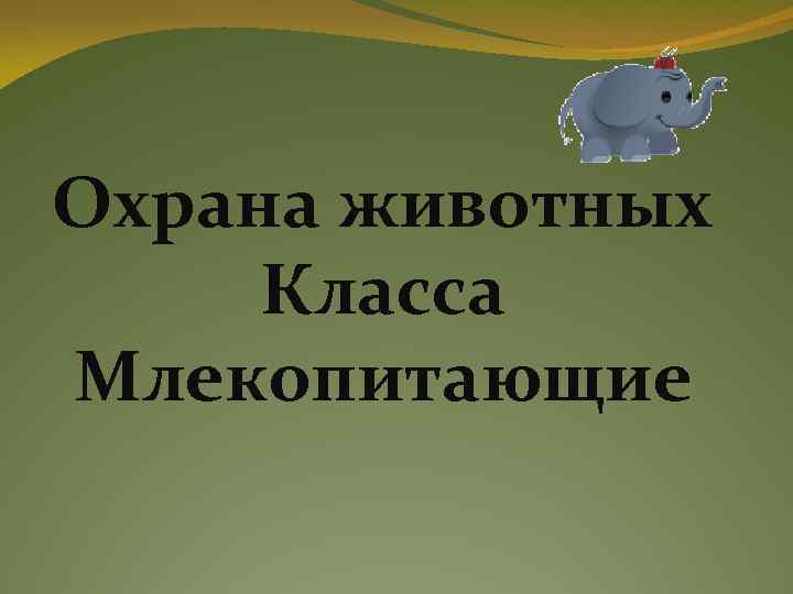 Охрана животных Класса Млекопитающие 