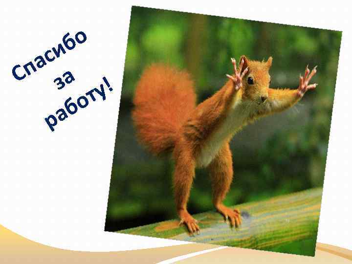 бо си па а С з у! т бо ра 