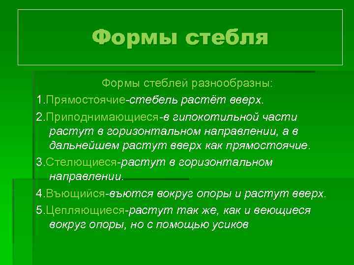 Формы стебля Формы стеблей разнообразны: 1. Прямостоячие-стебель растёт вверх. 2. Приподнимающиеся-в гипокотильной части растут