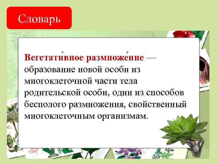 Словарь Вегетати вное размноже ние — образование новой особи из многоклеточной части тела родительской