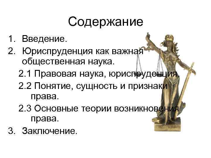 Содержание 1. Введение. 2. Юриспруденция как важная общественная наука. 2. 1 Правовая наука, юриспруденция.