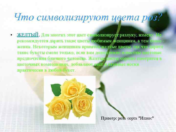 Что символизируют цвета роз? • ЖЕЛТЫЙ. Для многих этот цвет символизирует разлуку, измену. Не