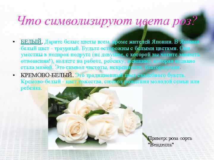 Что символизируют цвета роз? • БЕЛЫЙ. Дарите белые цветы всем, кроме жителей Японии. В