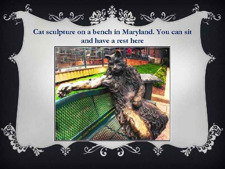 Cat sculpture on a bench in Maryland. You can sit and have a rest