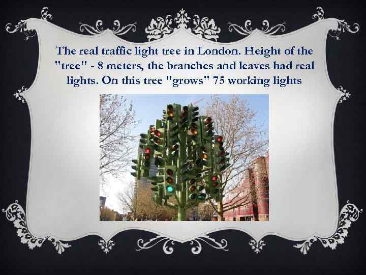 The real traffic light tree in London. Height of the 