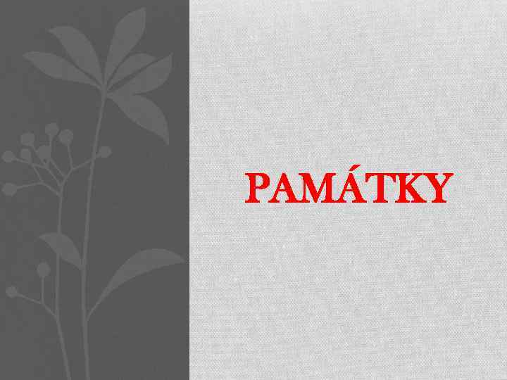 PAMÁTKY 