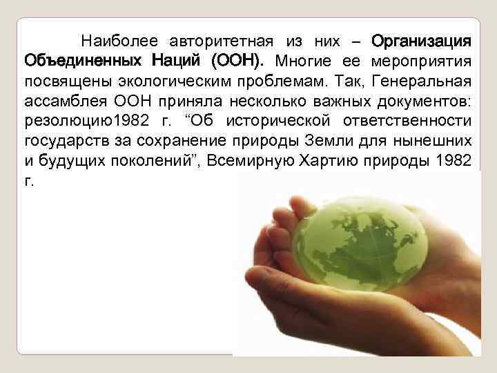 Наиболее авторитетная из них – Организация Объединенных Наций (ООН). Многие ее мероприятия посвящены экологическим