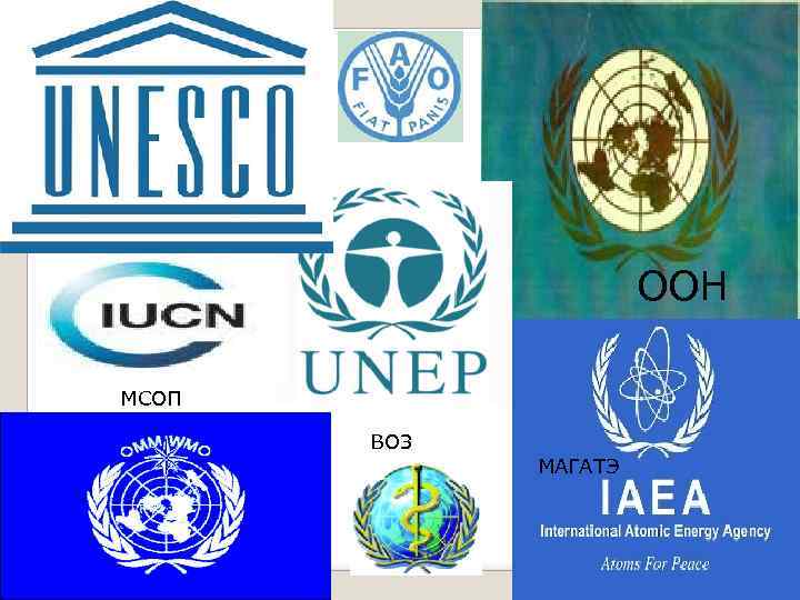 ООН МСОП ВОЗ МАГАТЭ 