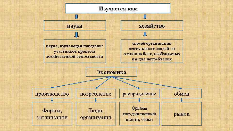 Экономика как хозяйство и как наука план обществознание