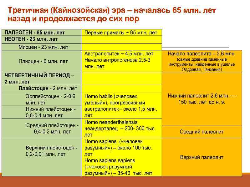 Третичная (Кайнозойская) эра – началась 65 млн. лет назад и продолжается до сих пор