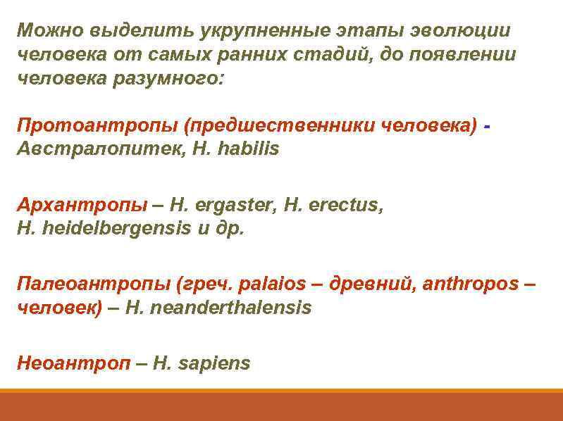 Можно выделить укрупненные этапы эволюции человека от самых ранних стадий, до появлении человека разумного: