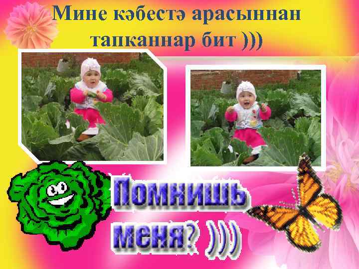 Мине кәбестә арасыннан тапканнар бит ))) 