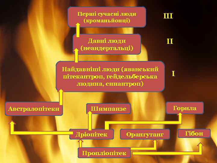 Перші сучасні люди (кроманьйонці) ІІІ Давні люди (неандертальці) Найдавніші люди (яванський пітекантроп, гейдельберська людина,