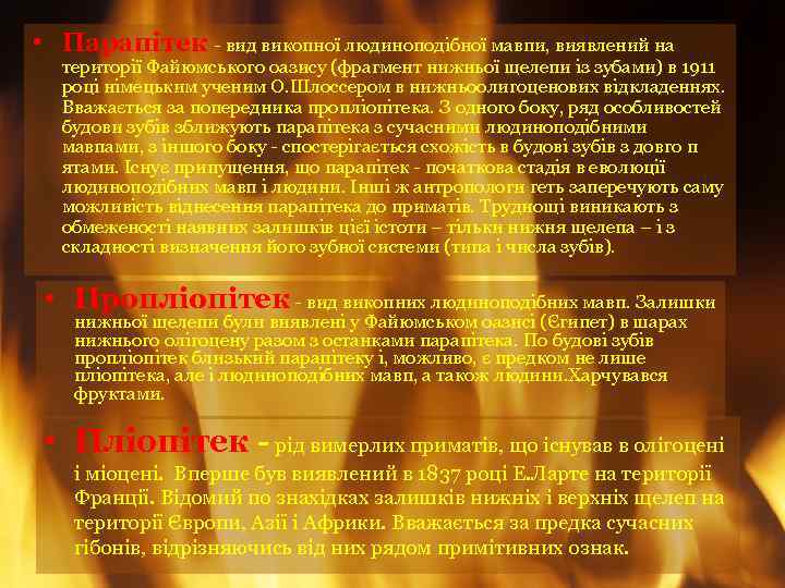  • Парапітек - вид викопної людиноподібної мавпи, виявлений на території Файюмського оазису (фрагмент