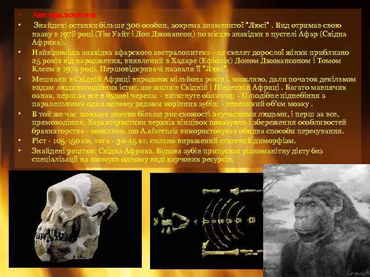  • Австралопітек • Знайдені останки більше 300 особин, зокрема знаменитої 