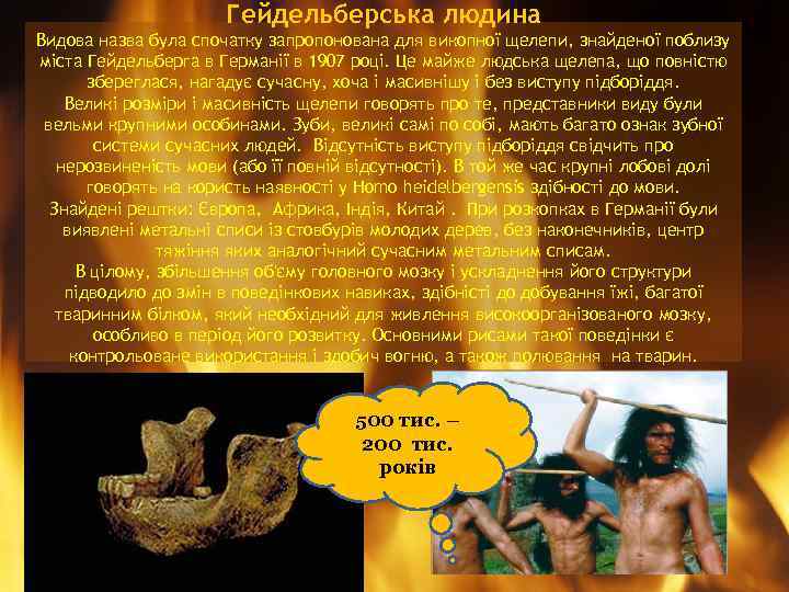 Гейдельберська людина Видова назва була спочатку запропонована для викопної щелепи, знайденої поблизу міста Гейдельберга