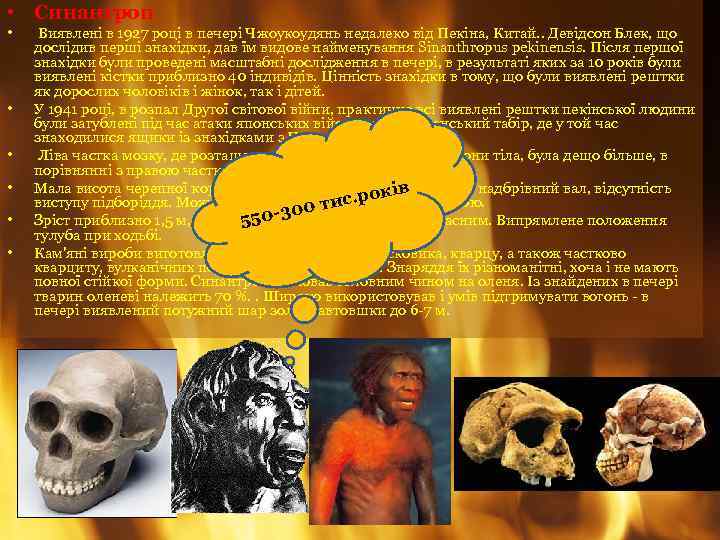  • Синантроп • • • Виявлені в 1927 році в печері Чжоукоудянь недалеко