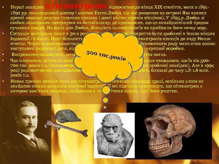  • • • пітекантропа Перші знахідки відносяться до кінця XIX століття, коли в
