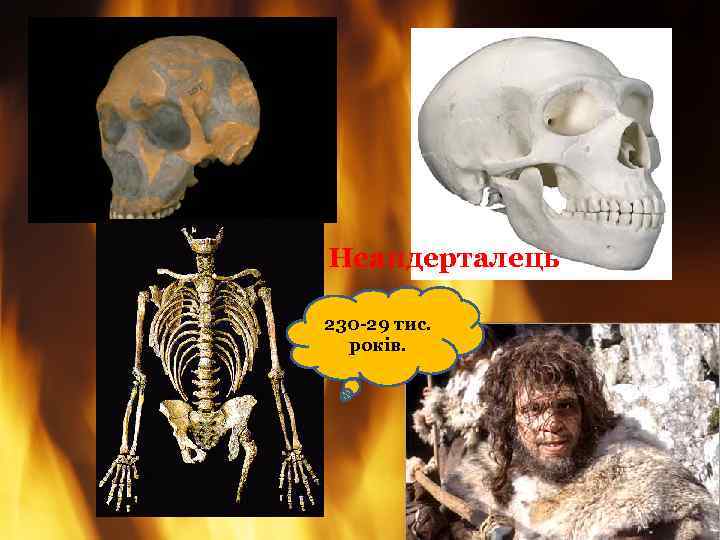 Неандерталець 230 -29 тис. років. 