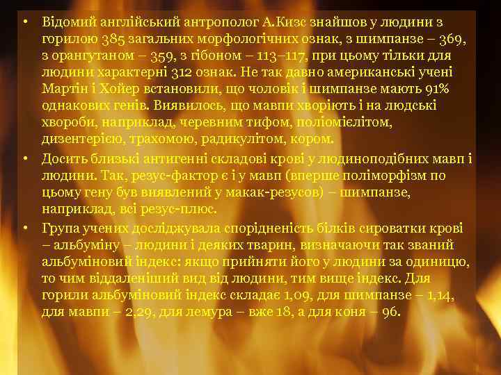  • Відомий англійський антрополог А. Кизс знайшов у людини з горилою 385 загальних
