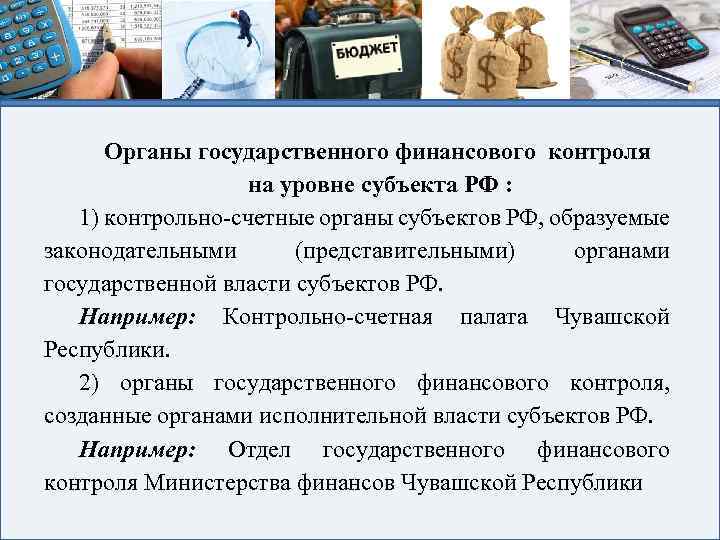 Органы государственного финансового контроля на уровне субъекта РФ : 1) контрольно-счетные органы субъектов РФ,