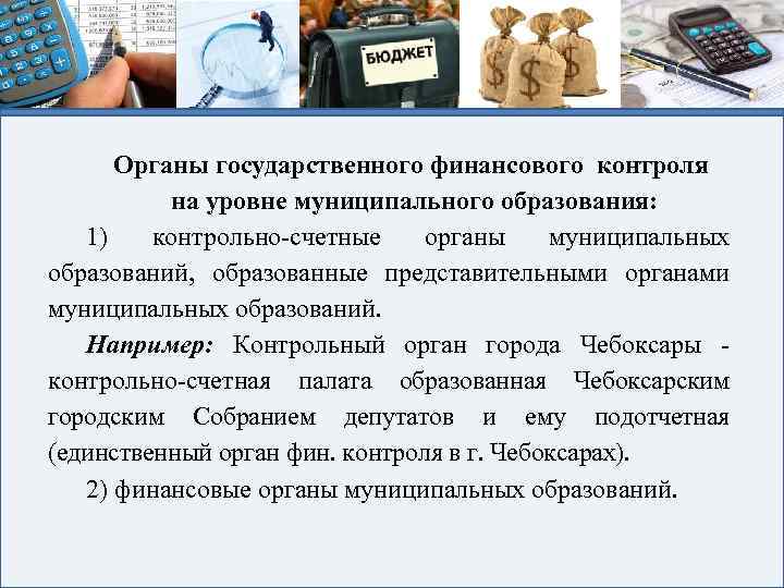 Органы государственного финансового контроля на уровне муниципального образования: 1) контрольно-счетные органы муниципальных образований, образованные