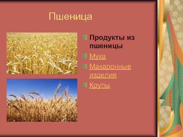  Пшеница Продукты из пшеницы Мука Макаронные изделия Крупы 